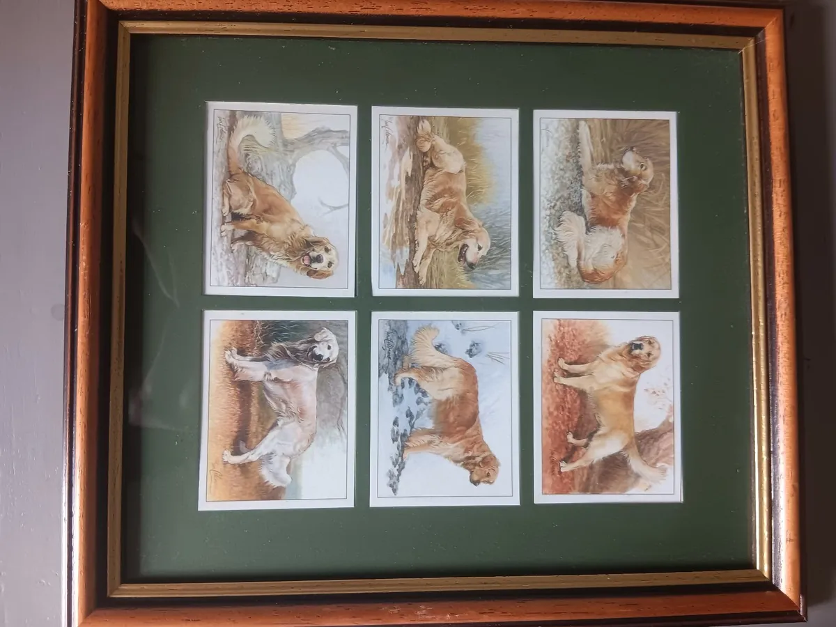 Cigarette cards - Image 3