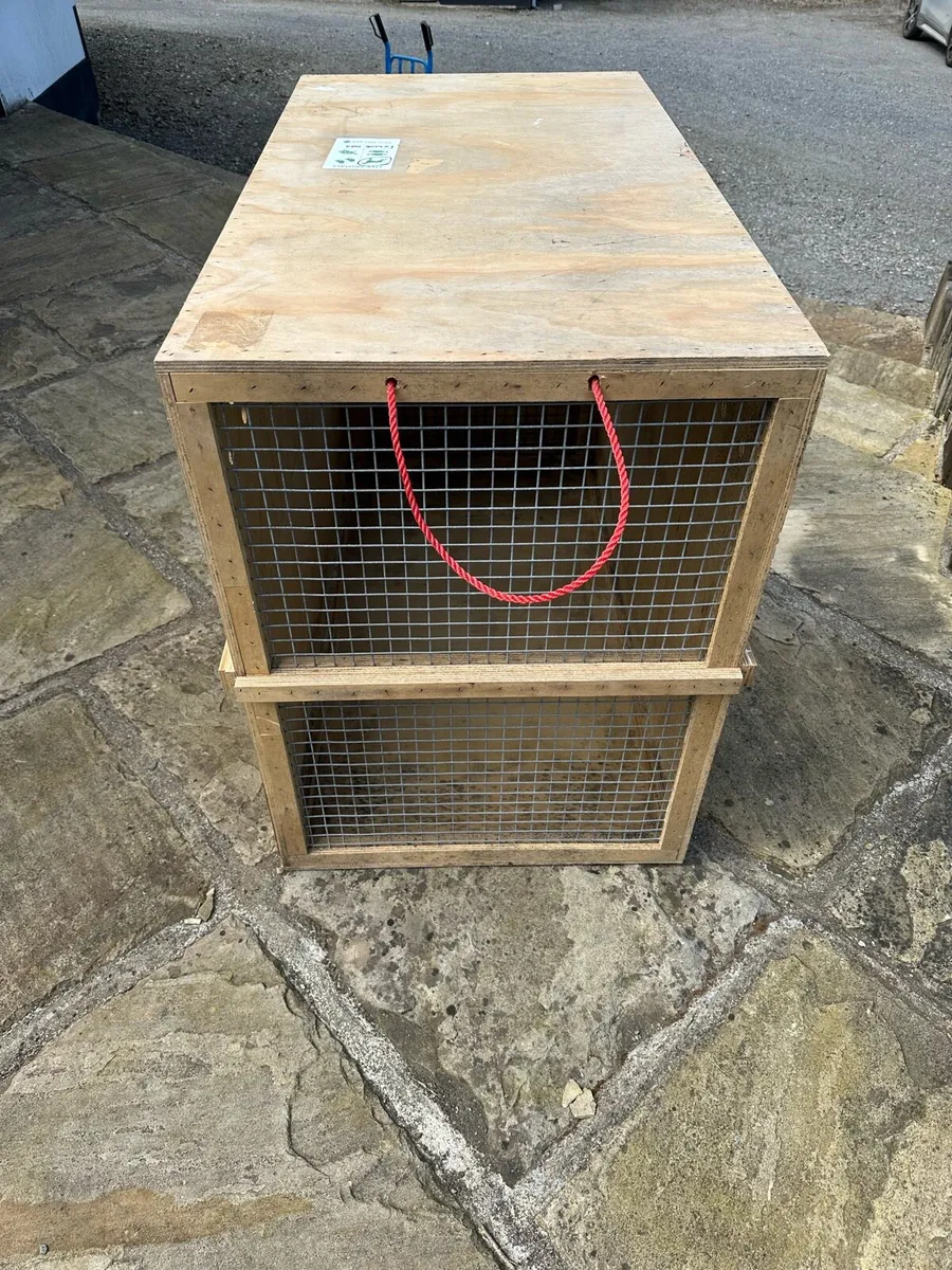 IATA Dog Crate - Image 3