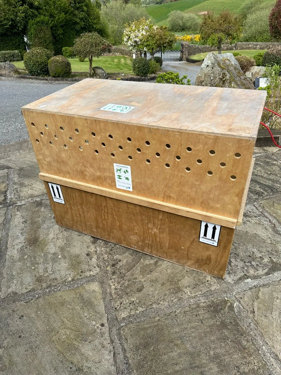 IATA Dog Crate - Image 2