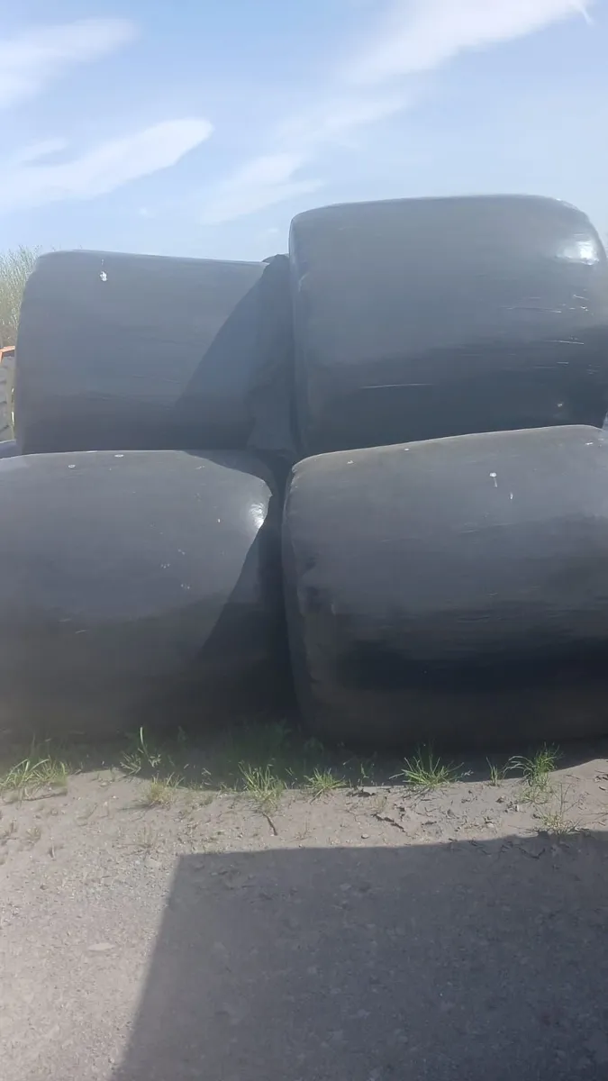 Silage bales - Image 2