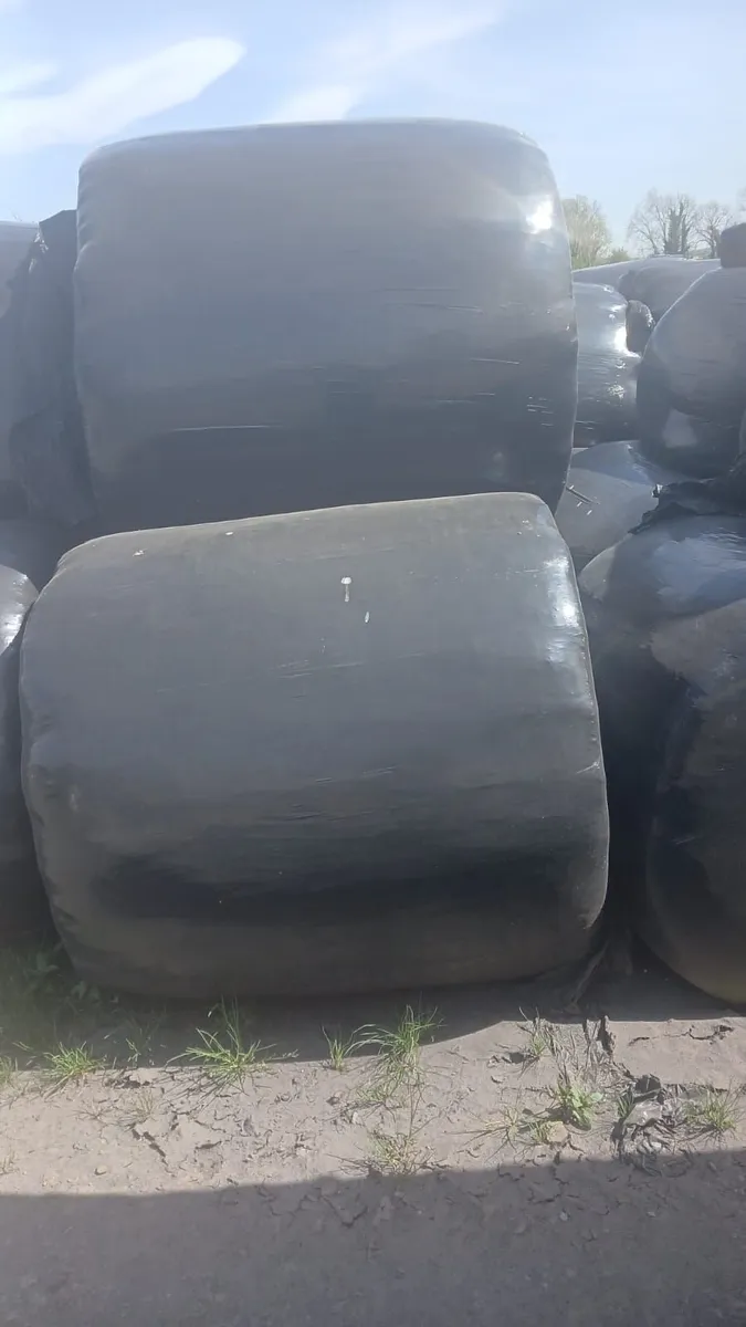 Silage bales - Image 1