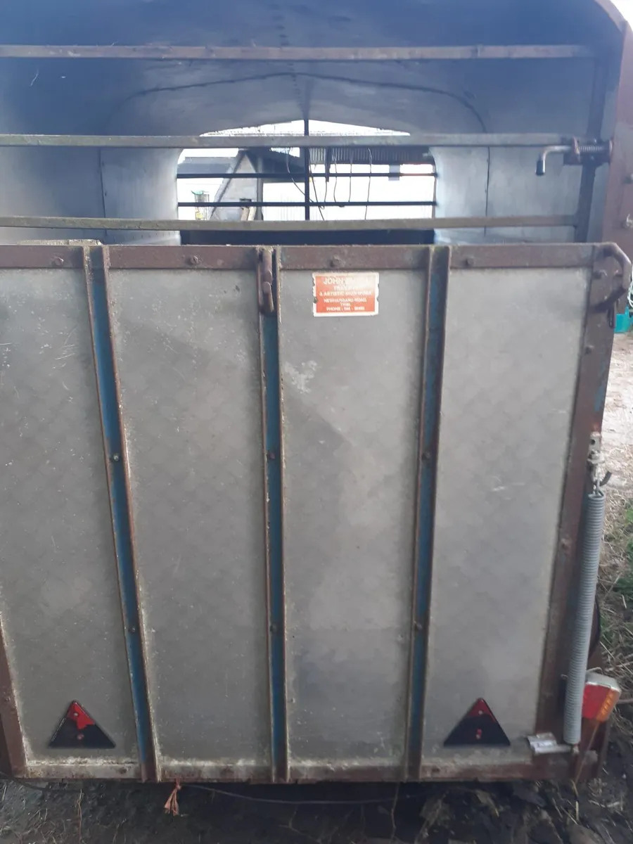 Twin Axle Trailer - Image 2