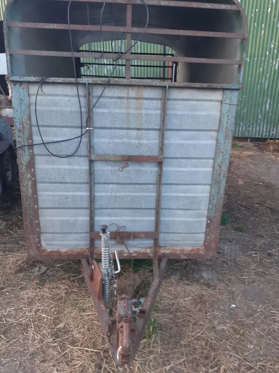 Twin Axle Trailer - Image 1