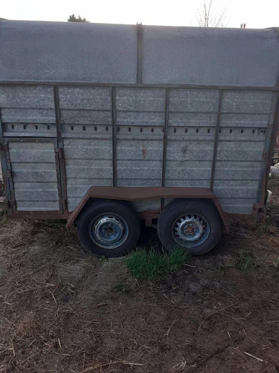 Twin Axle Trailer - Image 3