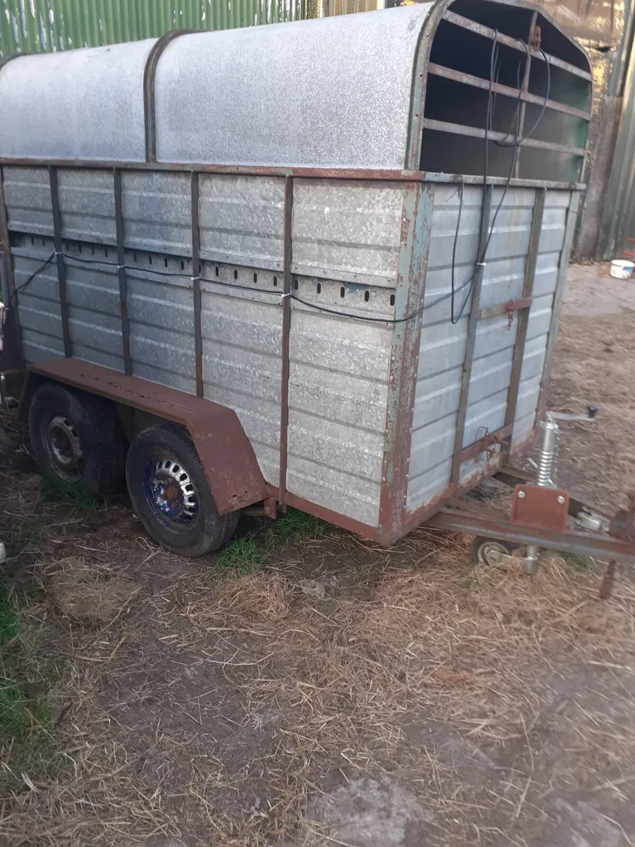 Twin Axle Trailer - Image 4