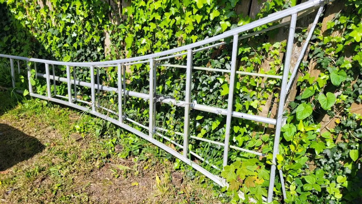 12' orchard ladder for sale