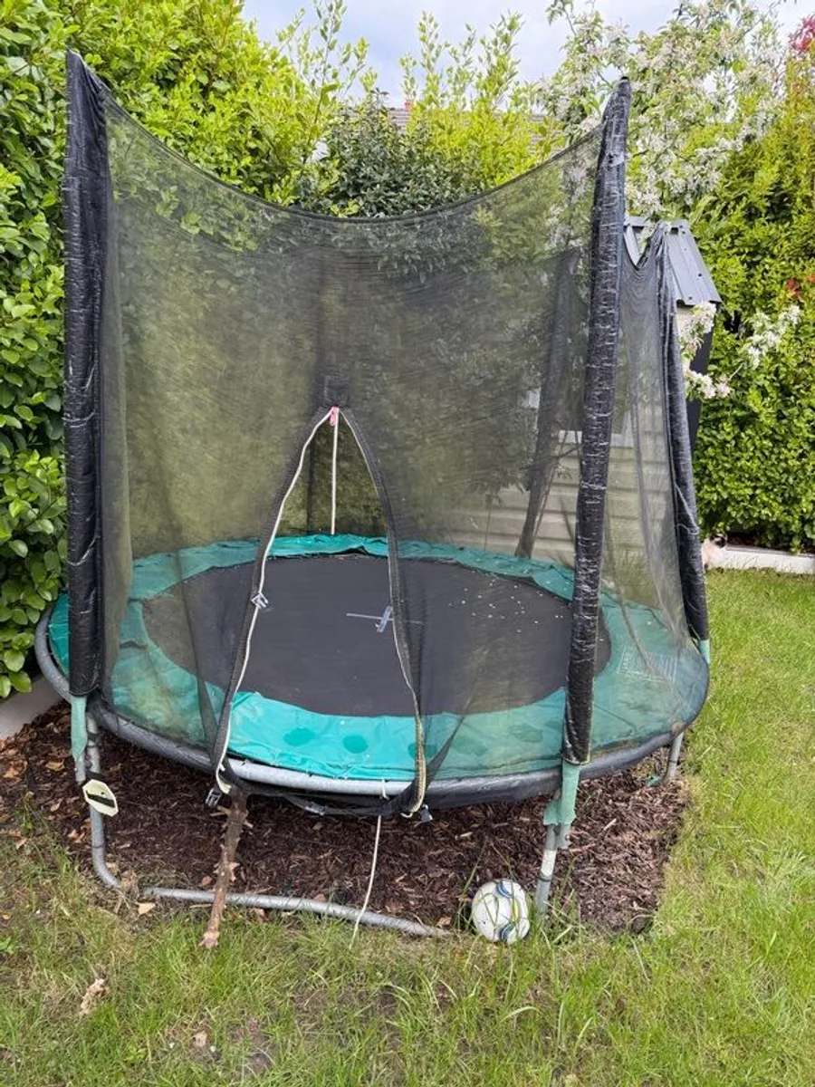 Trampoline 8ft - free - Image 1