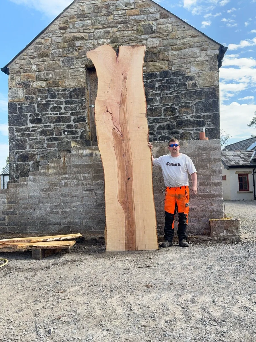 Timber slabs - Image 1