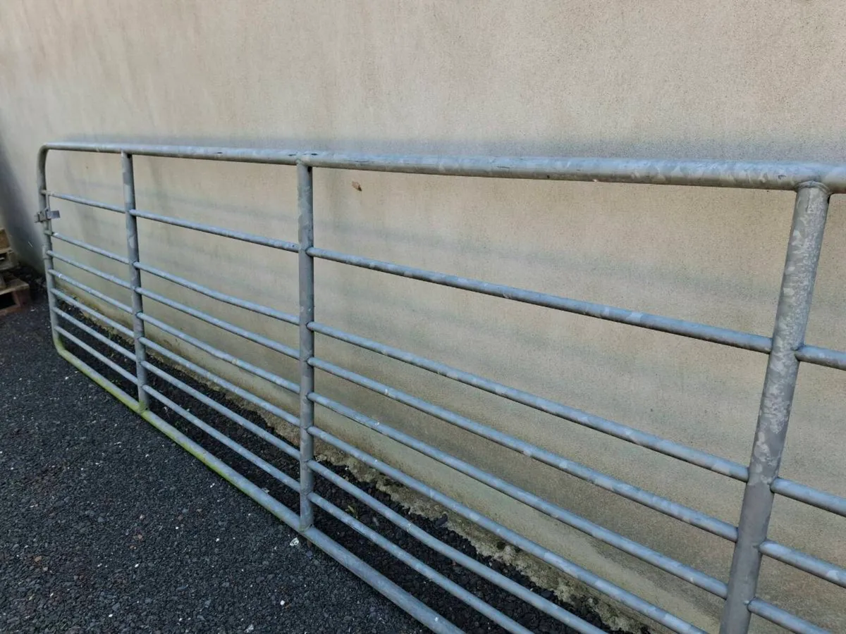Field Gate. 15 Feet. Galvanised - Image 2