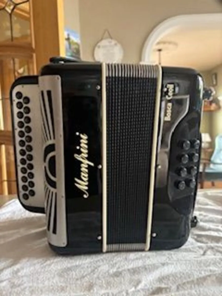 Button Accordion - Image 1