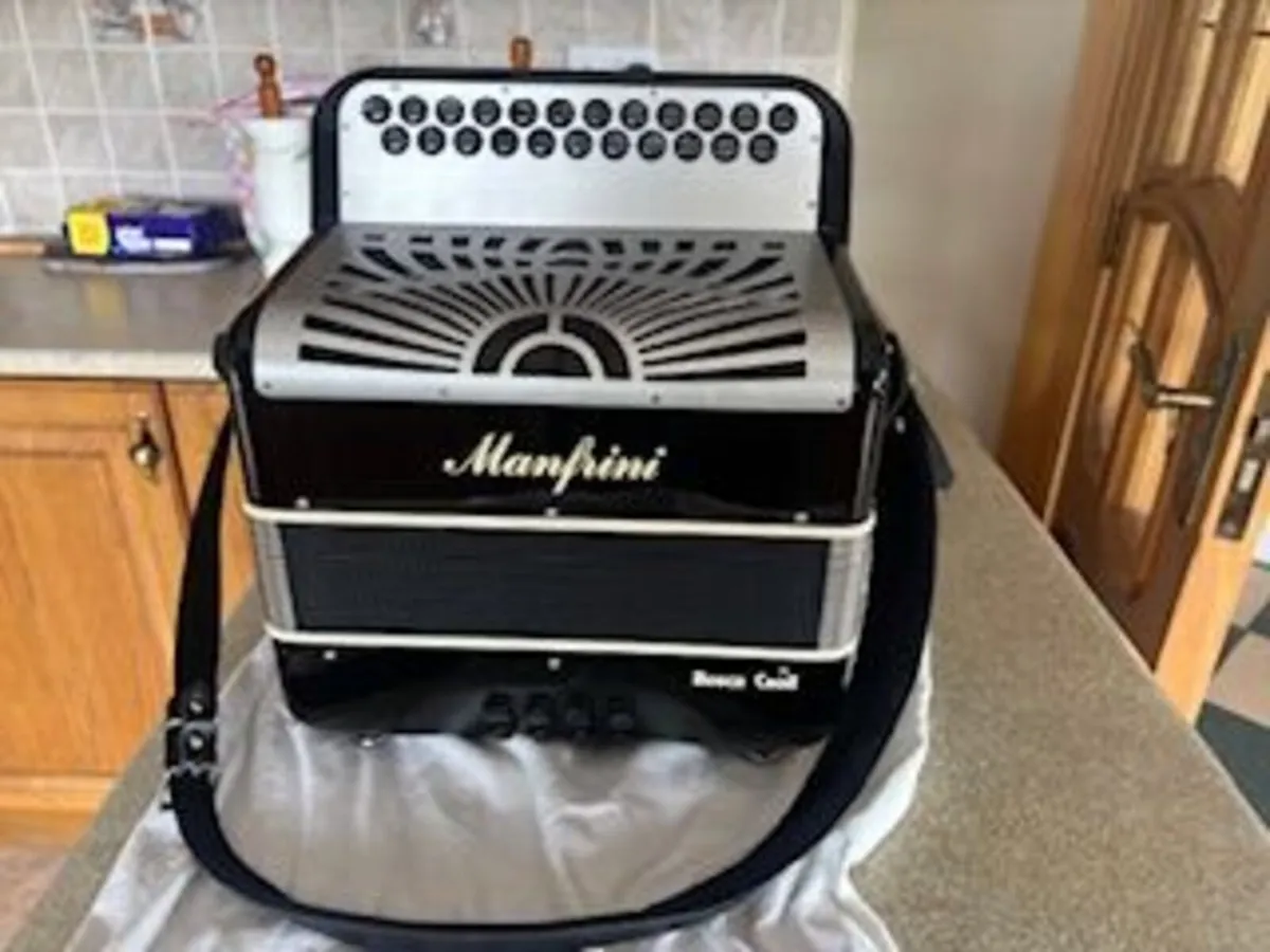 Button Accordion - Image 4