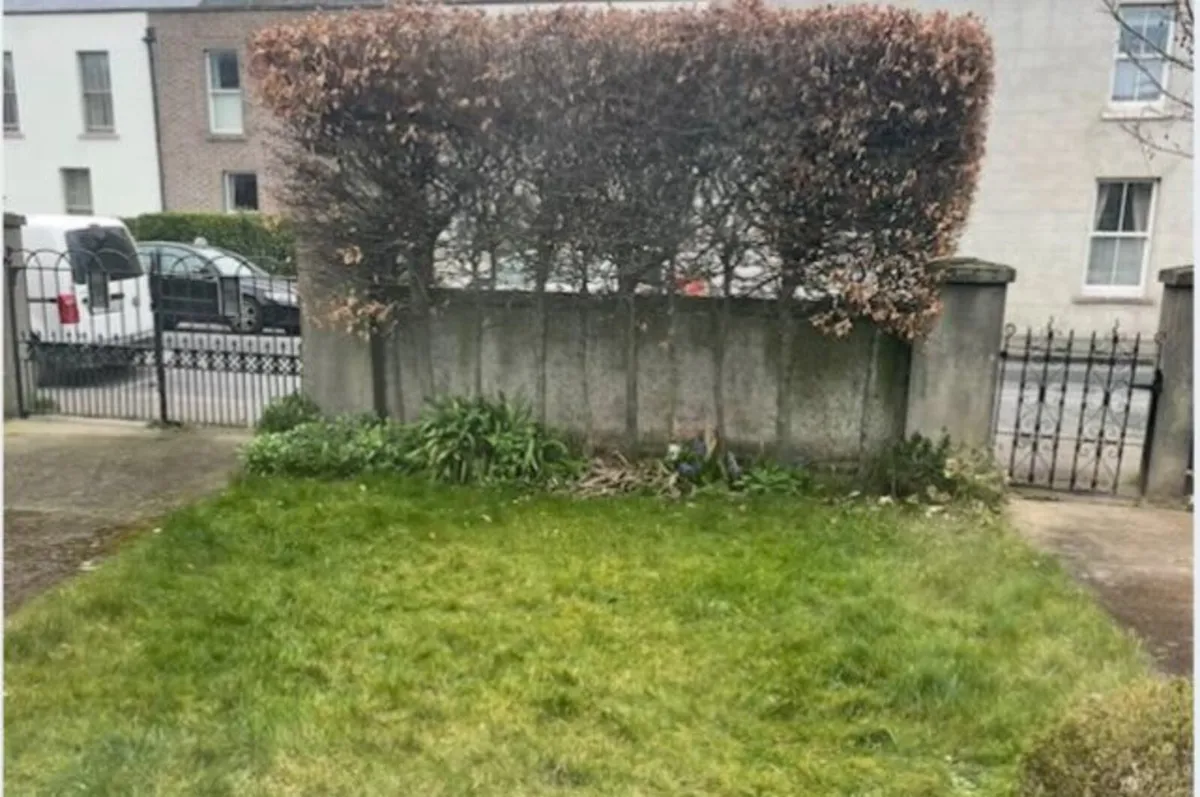 wrought iron gates - Image 4