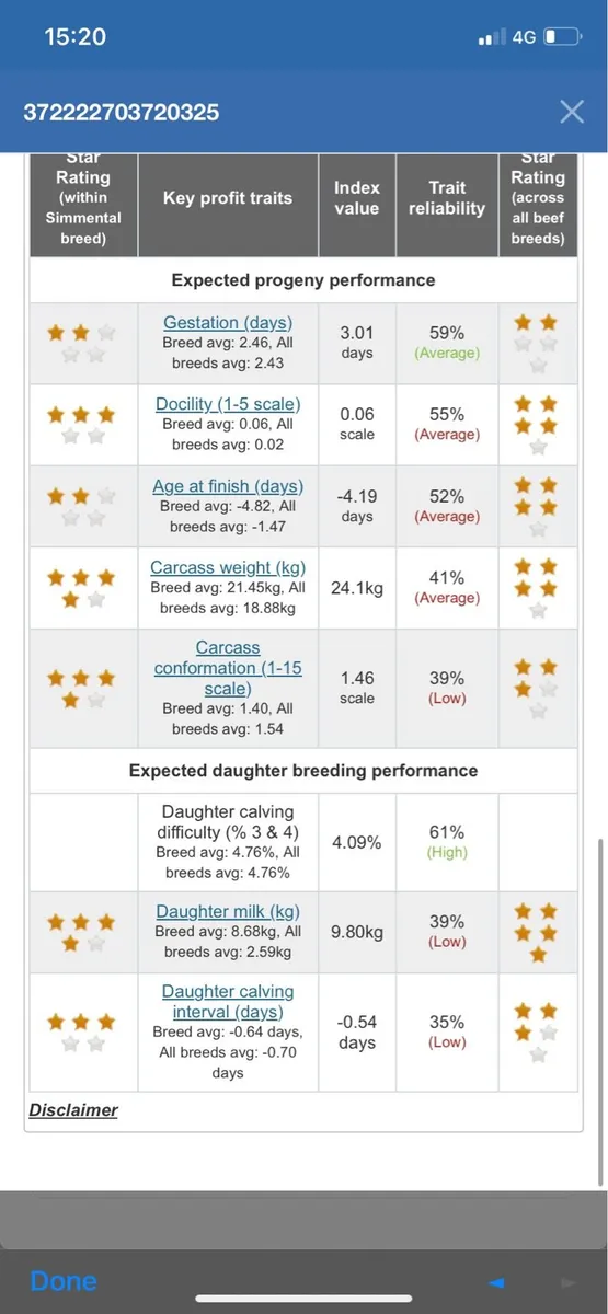 Simmental bull - Image 4