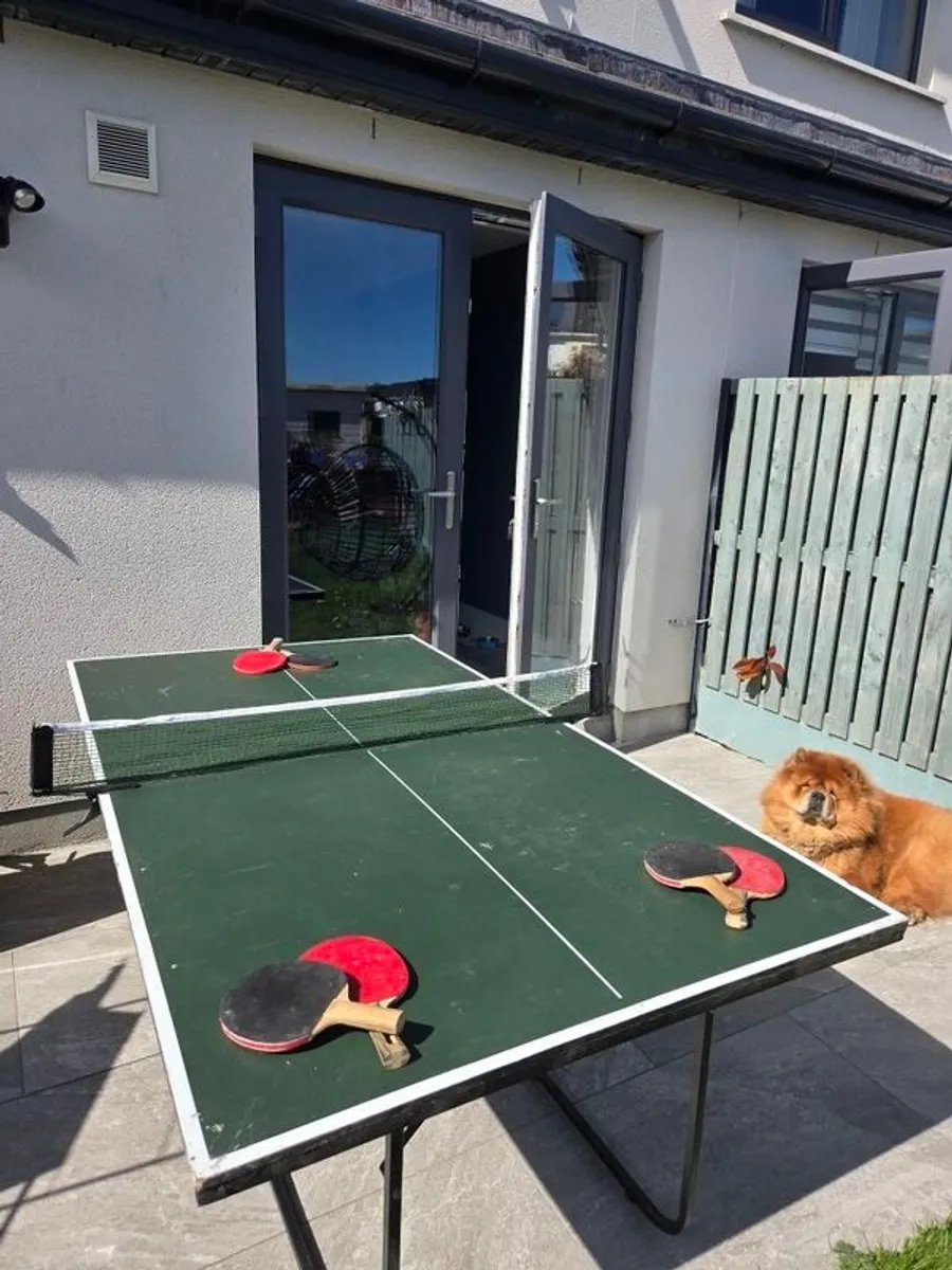 Ping Pong Table - Image 1