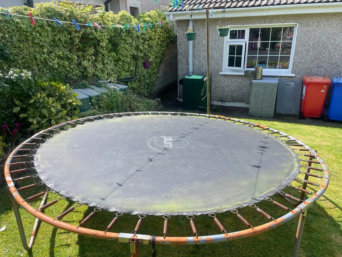 Trampoline - Image 2