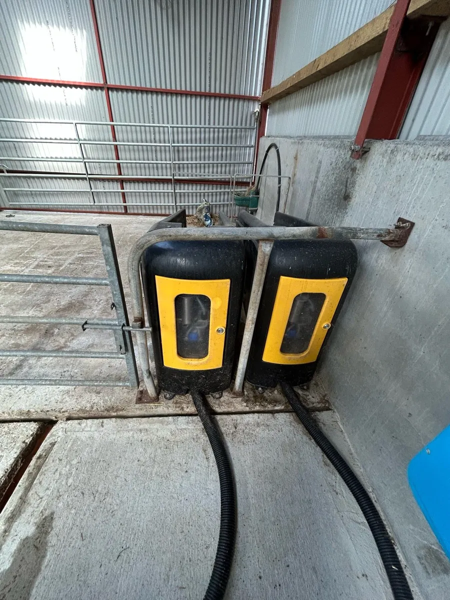 JFC calf feeder - Image 3