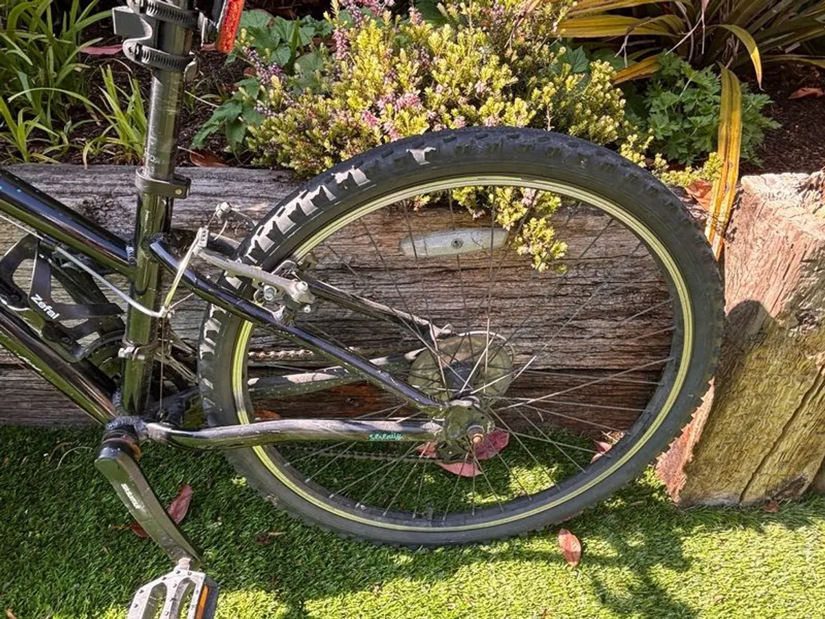 Ridgeback Serenity - Image 2