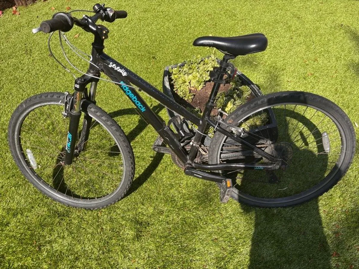 Ridgeback Serenity - Image 4