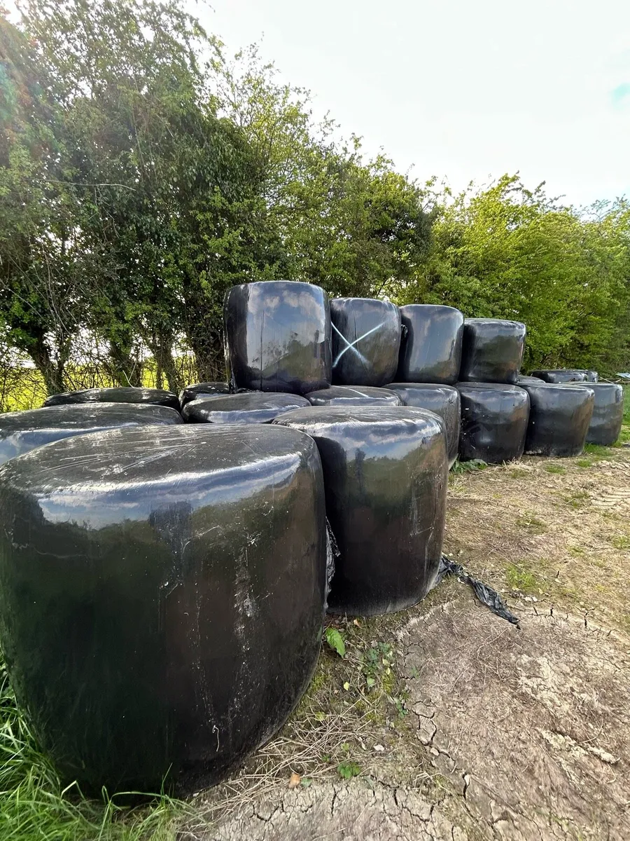 Silage/Haylage - Image 2