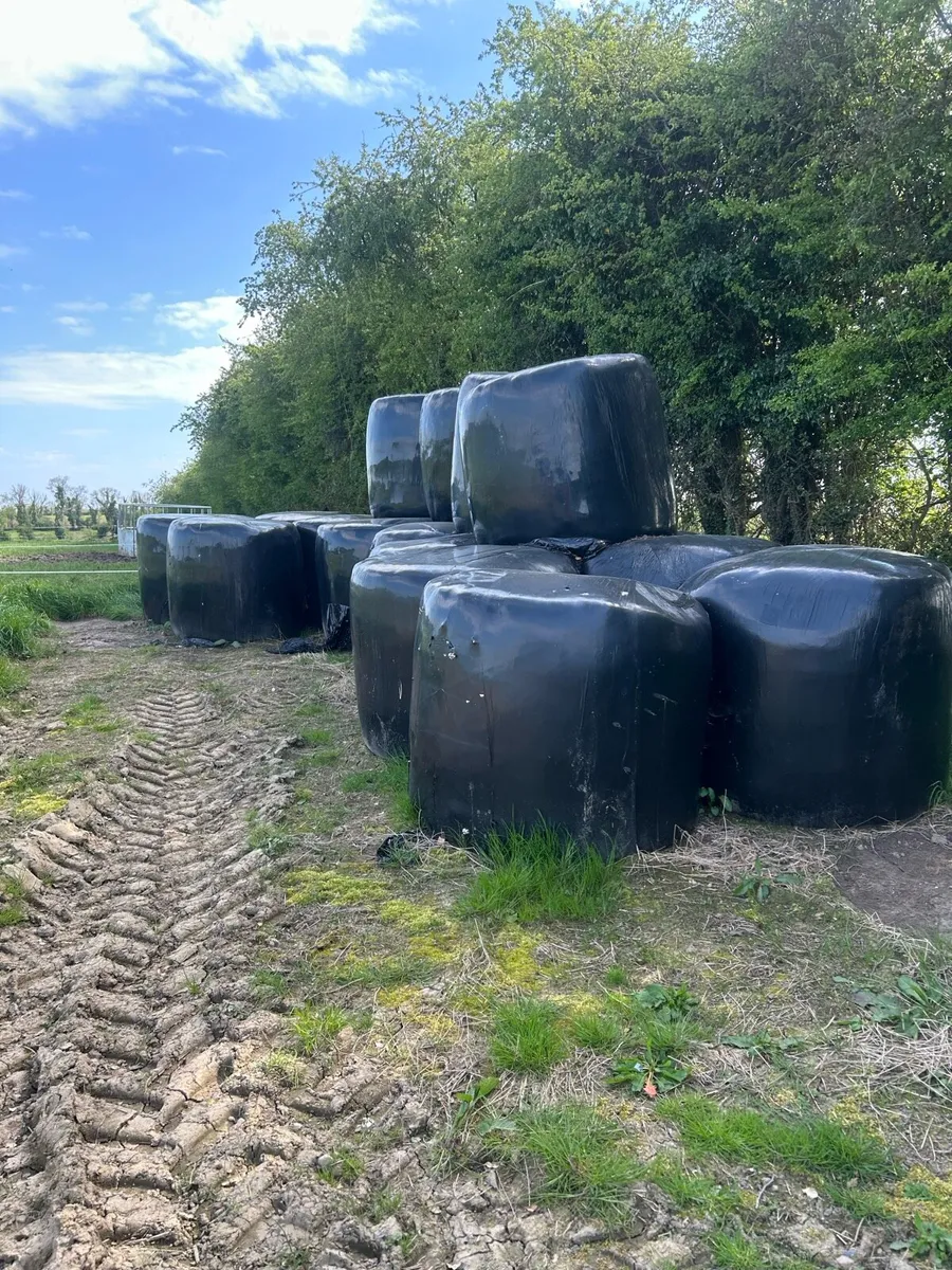 Silage/Haylage - Image 1