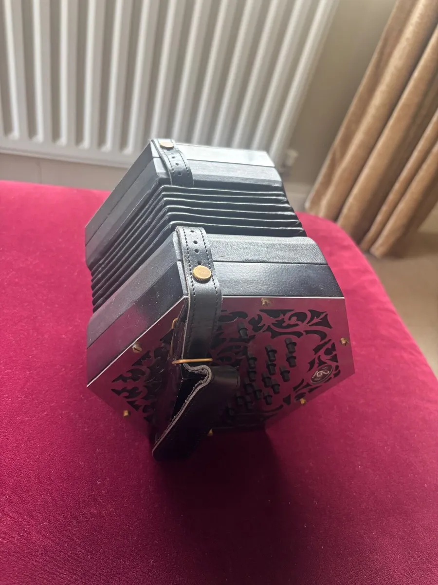 McNeela Swan Concertina - Image 2