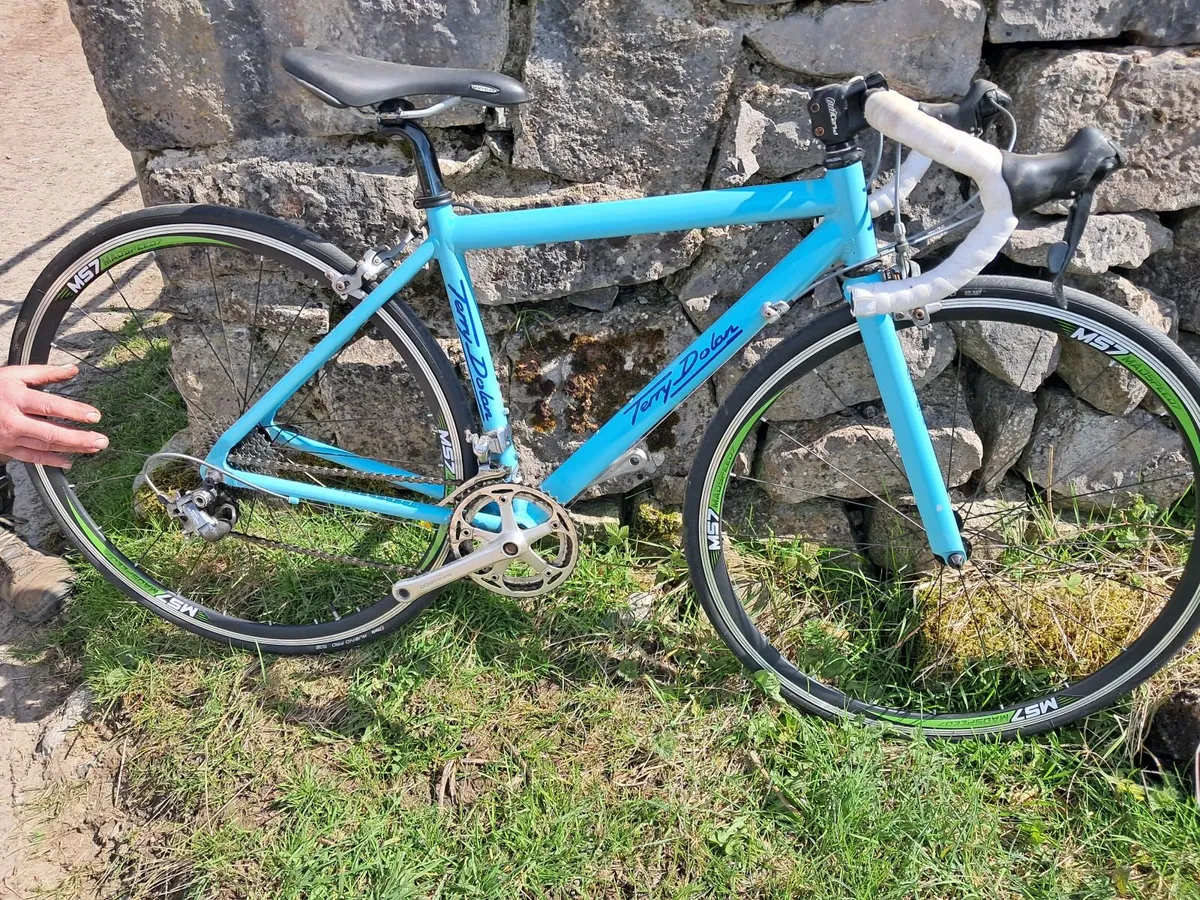 Classic Terry Dolan Bicycle - Image 1
