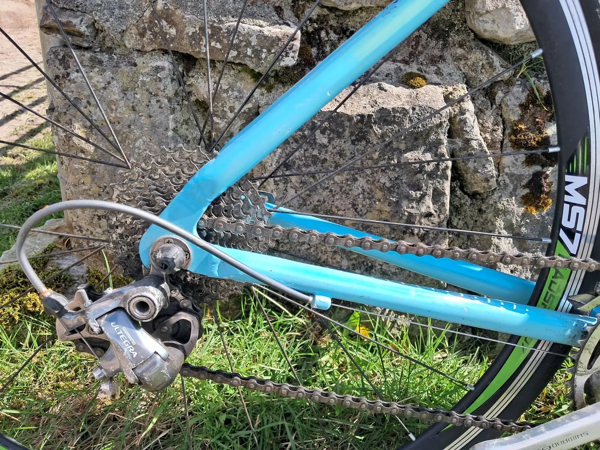 Classic Terry Dolan Bicycle - Image 2