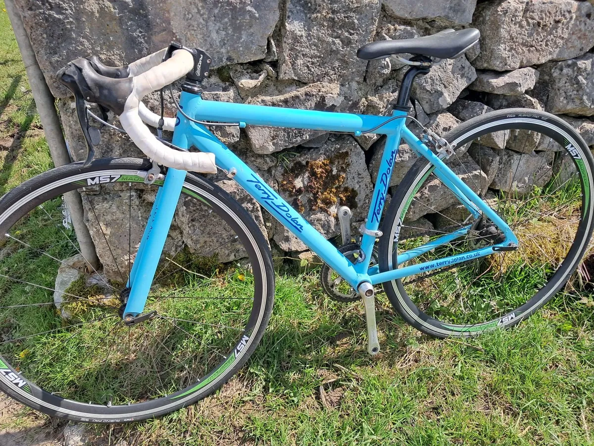 Classic Terry Dolan Bicycle - Image 3