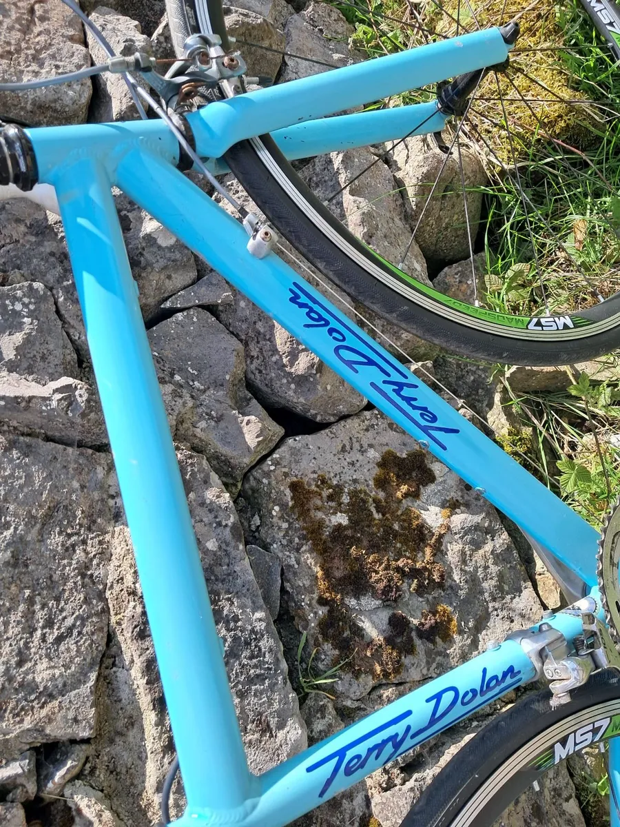 Classic Terry Dolan Bicycle - Image 4