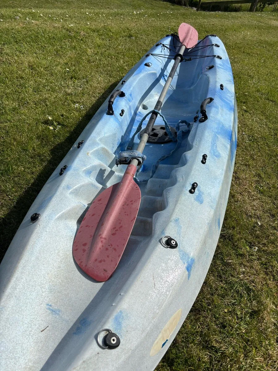 Kayak - Image 3