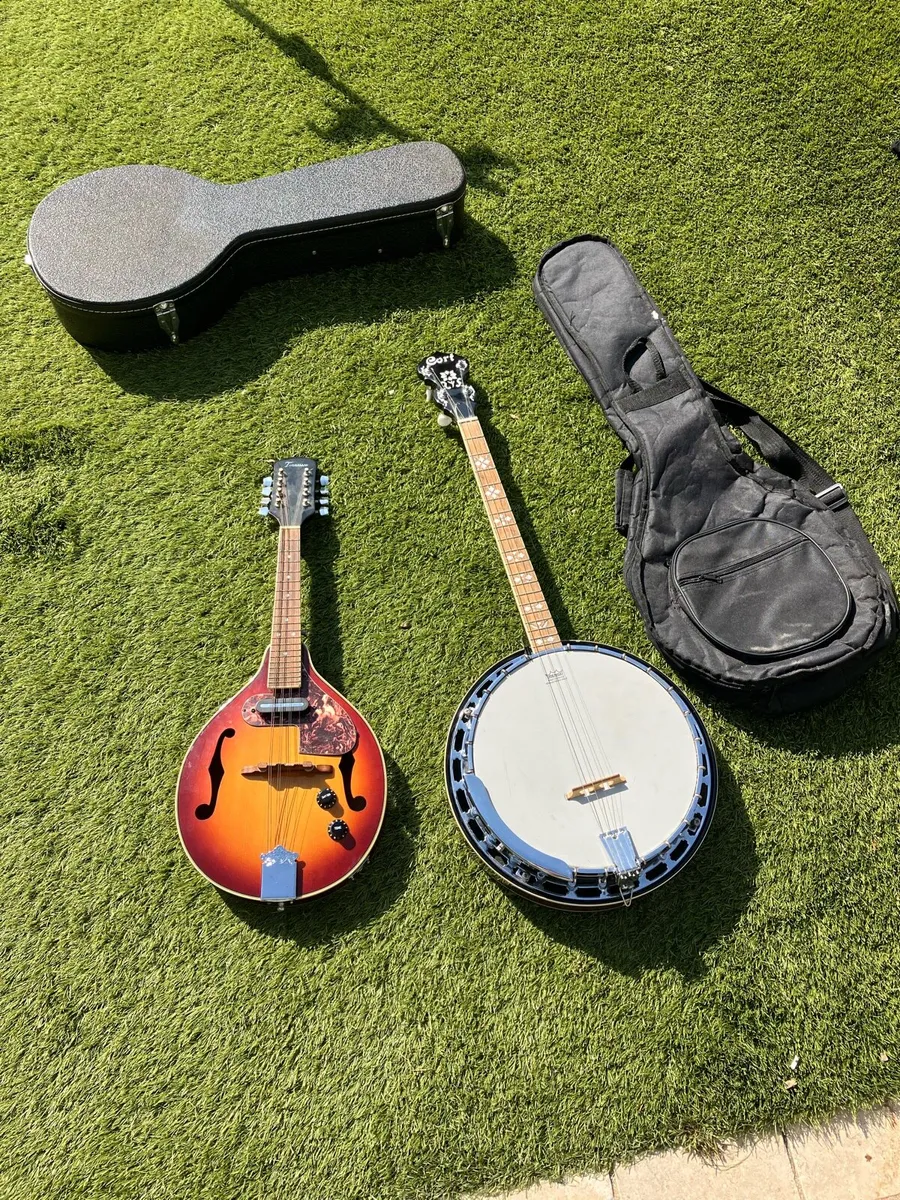 4 string Banjo and Mandolin for sale. - Image 1
