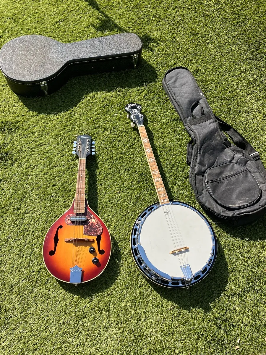 4 string Banjo and Mandolin for sale. - Image 2