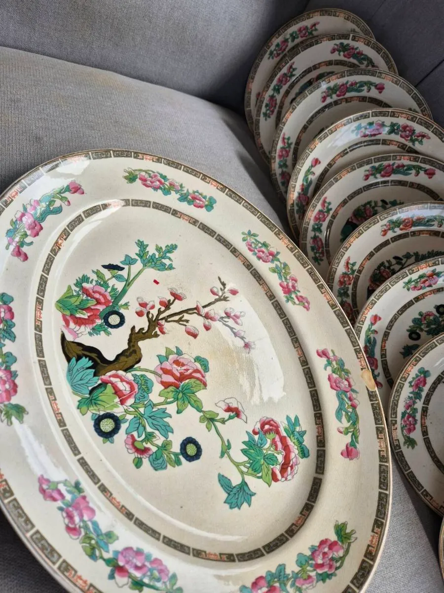 Arklow india tree - Image 3