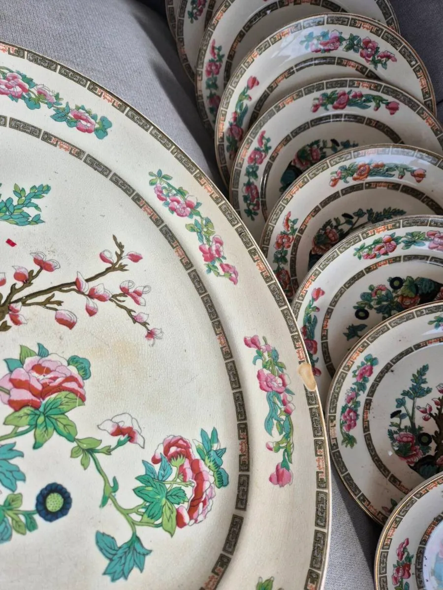 Arklow india tree - Image 4