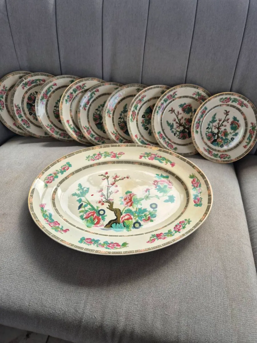 Arklow india tree - Image 1