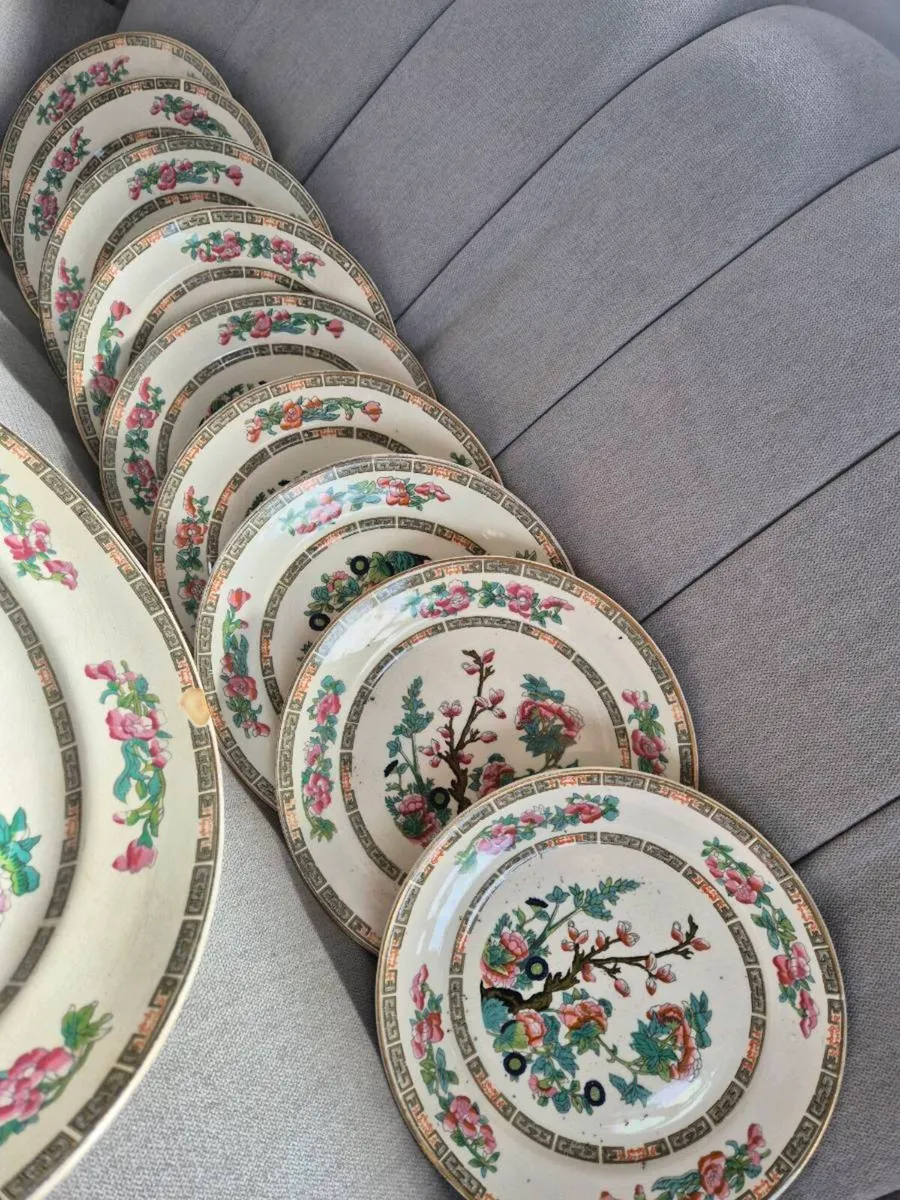 Arklow india tree - Image 2