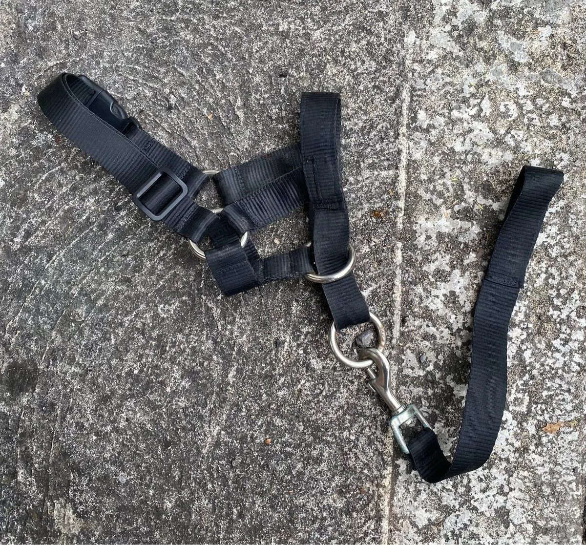 Halti Head Collar for Dogs - Image 1