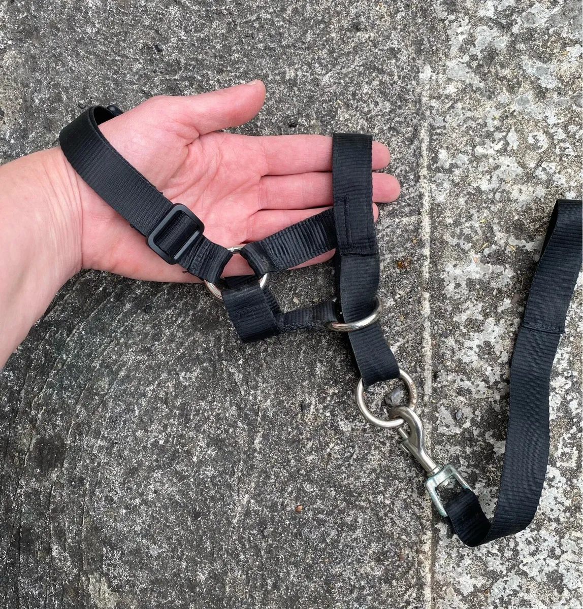 Halti Head Collar for Dogs - Image 2