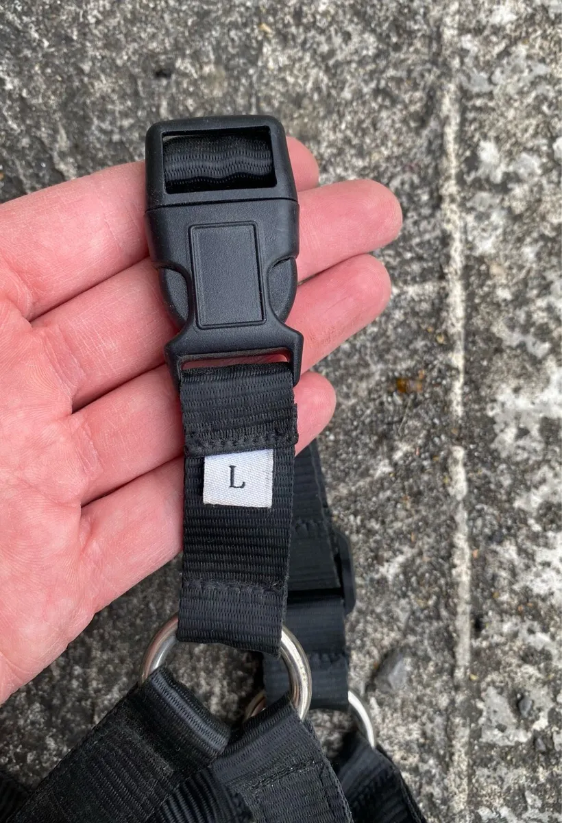 Halti Head Collar for Dogs - Image 3