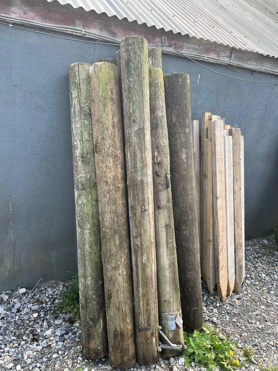 Fencing - Image 4