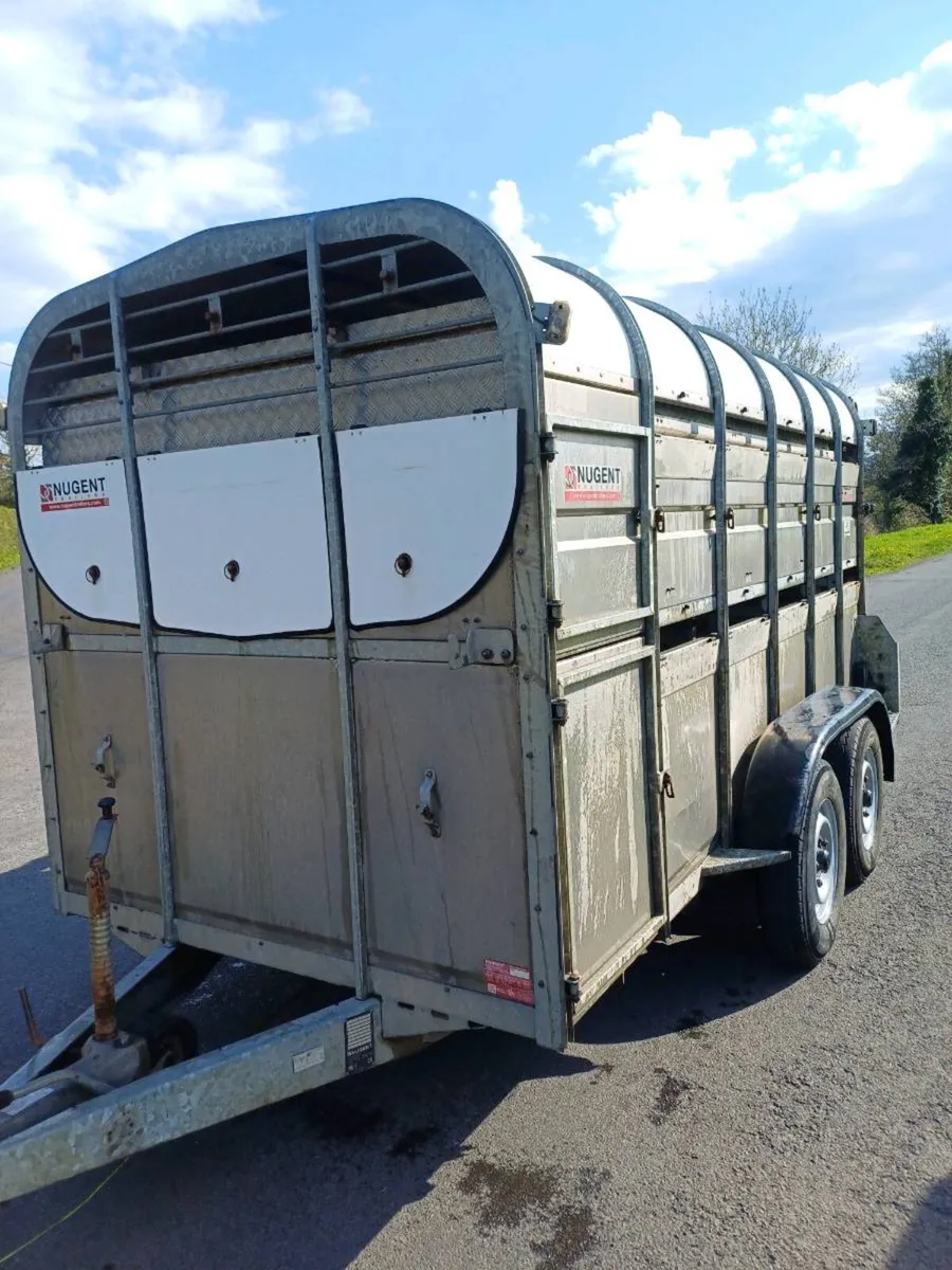 Nugent 12ft with sheep decks - Image 1