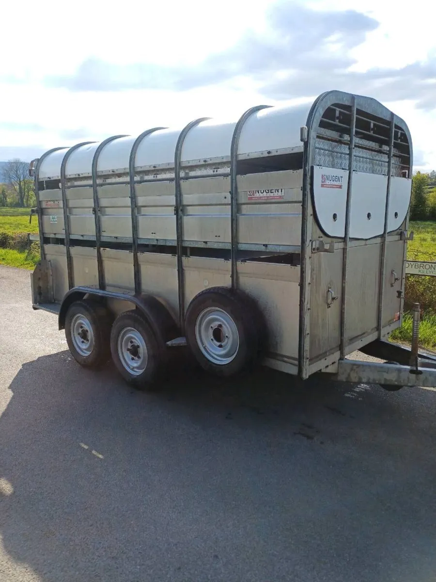 Nugent 12ft with sheep decks - Image 2