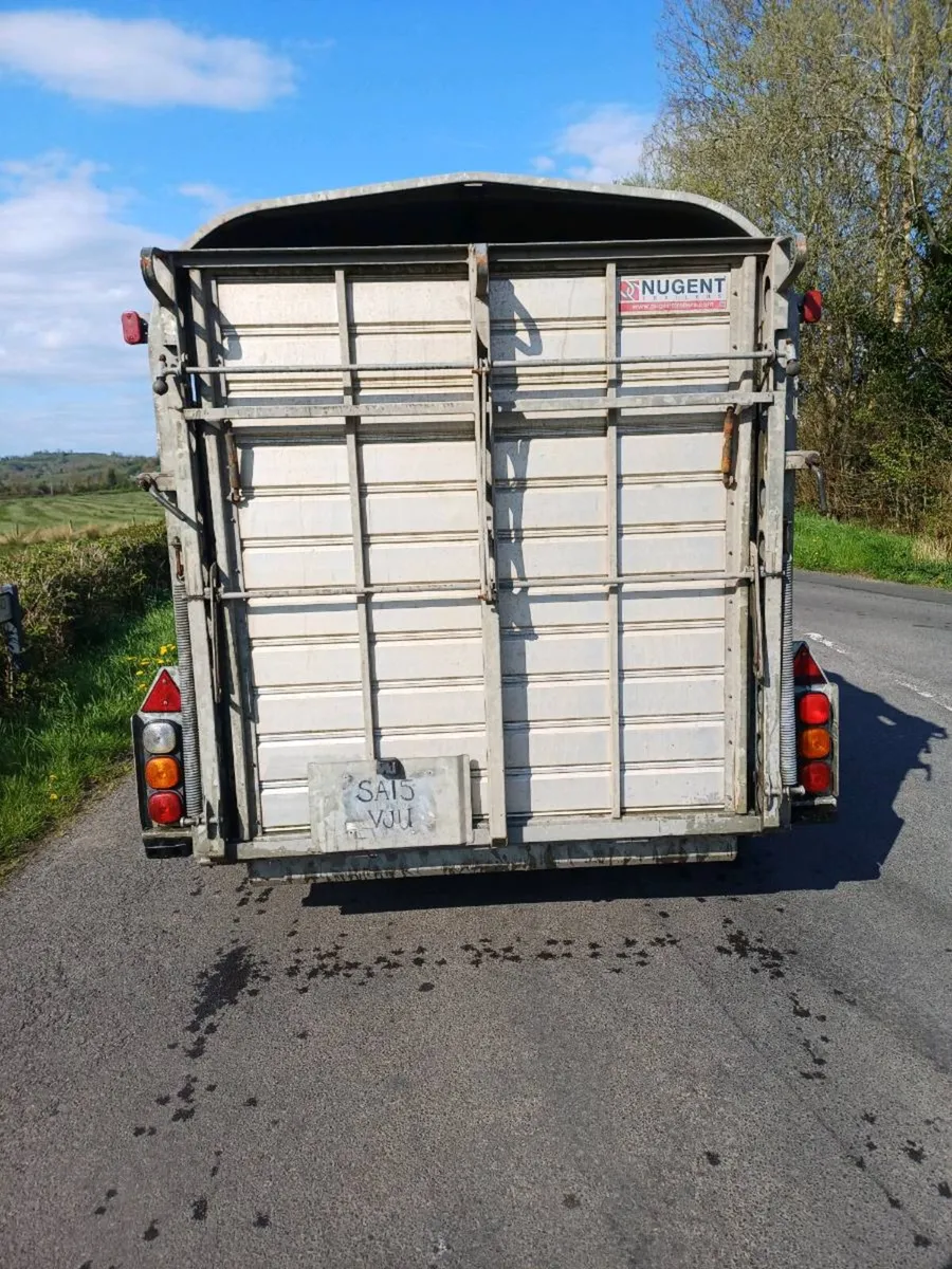 Nugent 12ft with sheep decks - Image 3