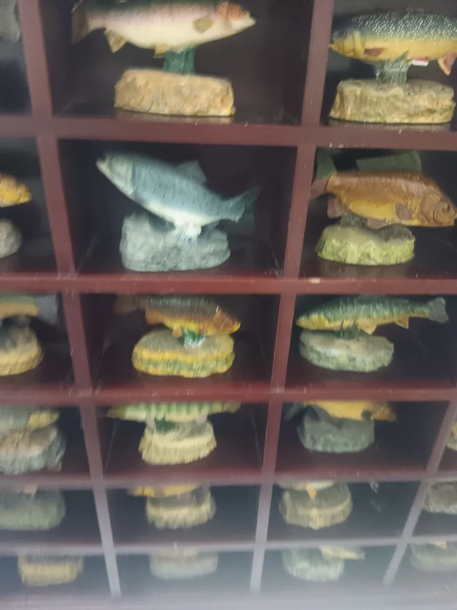 Angling showcase - Image 2