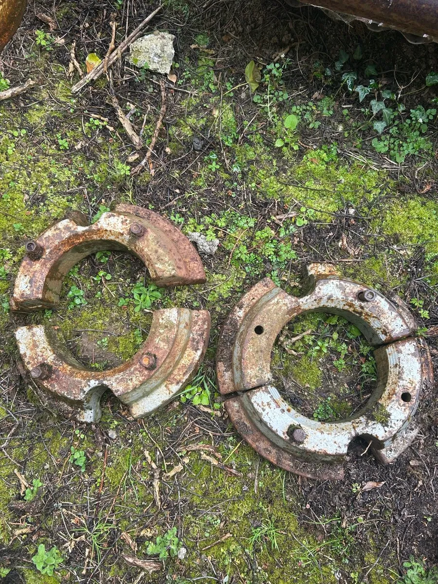 Yard clearance - Image 1