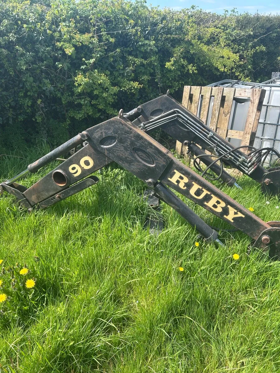 Yard clearance - Image 3