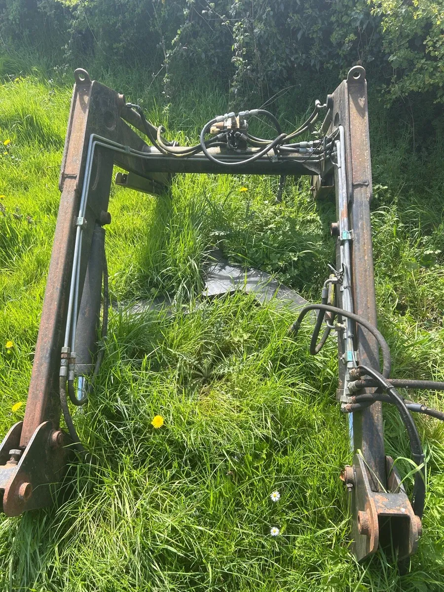 Yard clearance - Image 4