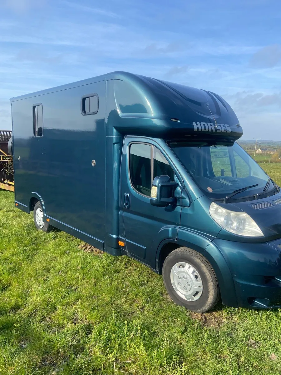 Part Exchange 3.5 tonnes 2 stall Horsebox - Image 4