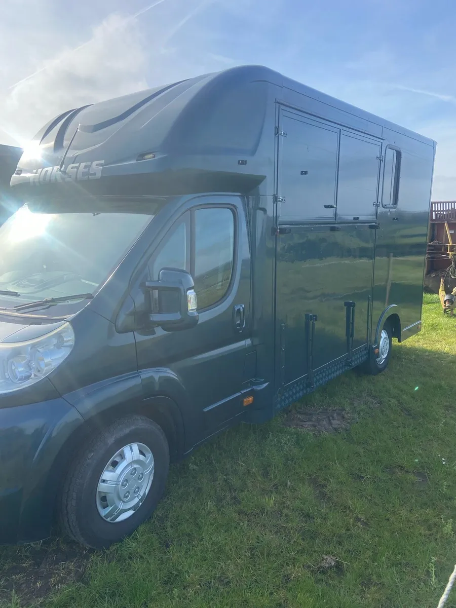 Part Exchange 3.5 tonnes 2 stall Horsebox - Image 2