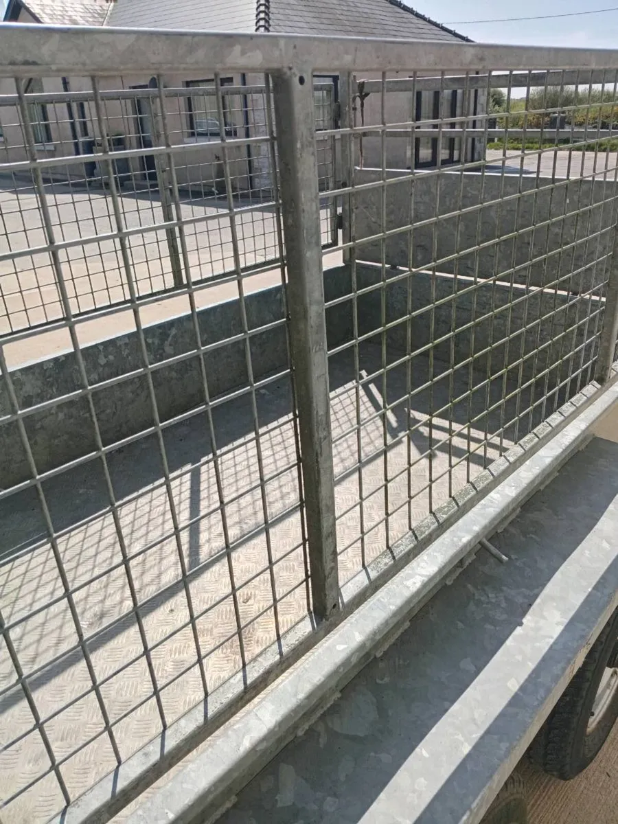 8x4 Tuff Mack car trailer - Image 3